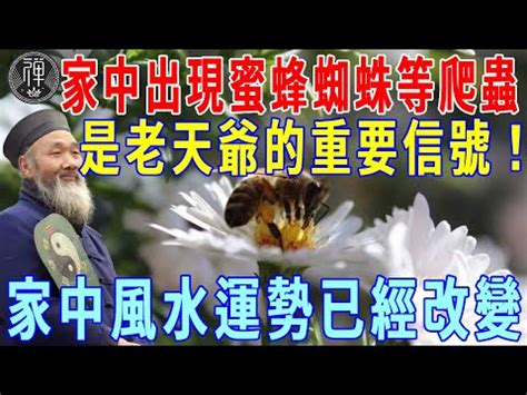 家裡有蜂窩代表|【蜂窩風水】家有蜂窩風水吉凶解密：黃蜂入宅，招財。